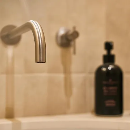 Homy Livia 维罗纳